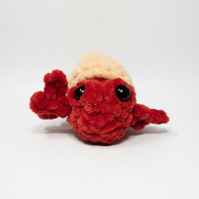 Hermit Crab