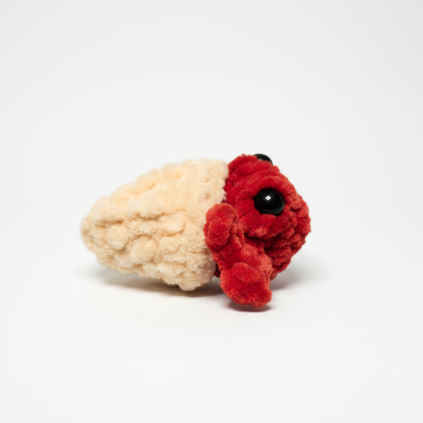 Hermit Crab