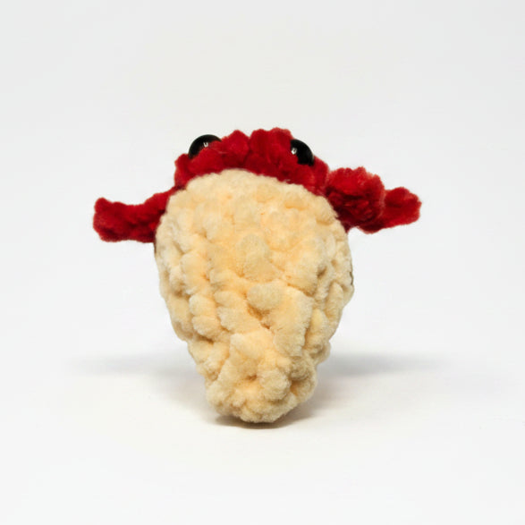 Hermit Crab