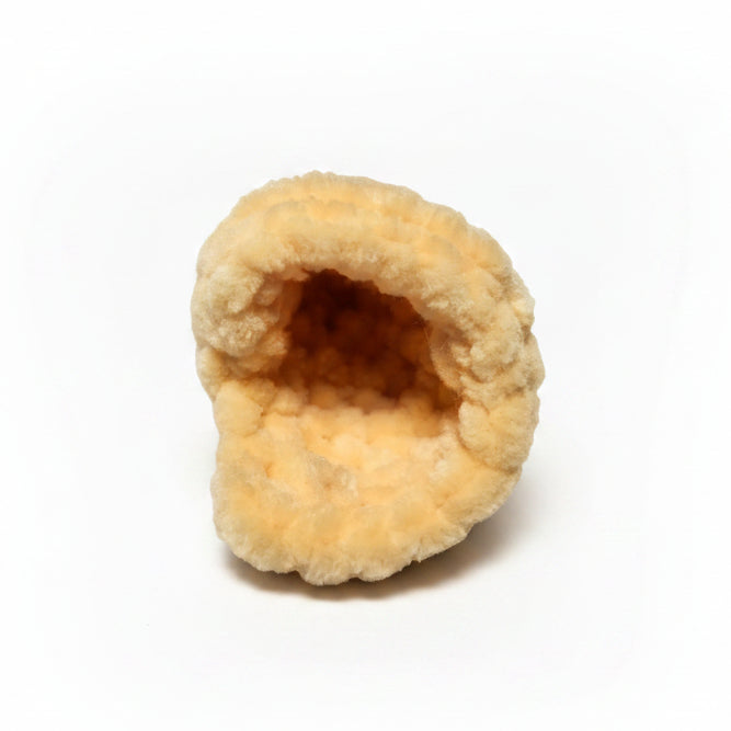 Hermit Crab