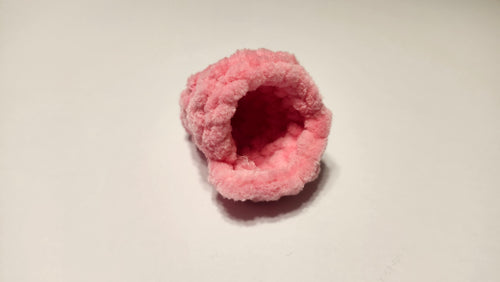 Bubblegum Hermit Crab Shell