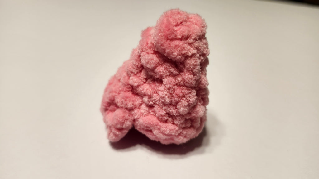 Bubblegum Hermit Crab Shell