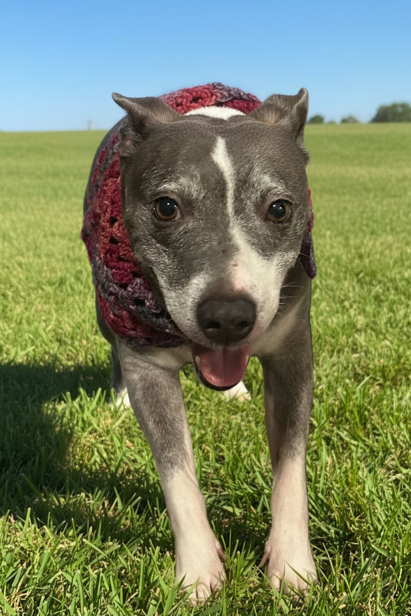 Berries Mix Bandana